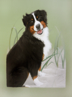berner-sennpaula-page.png