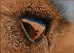 farbzeichnung-tuareg.jpg
