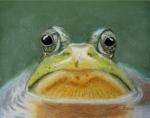 frosch-1.jpg