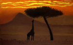 giraffe-2giraffe-2.png