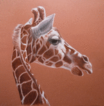 giraffe-mh.png
