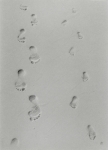 grau-zeichnung-begl.jp.jpg