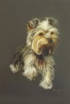 hundeportrait.jp.jpg