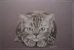 katze-2.jpg