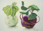 kohlrabikohlrabi.png