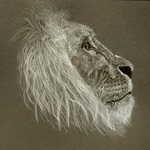 loeweloewe.png