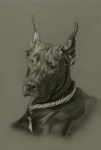 m-hundeportrait.jpg