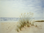 nordseestrandnordseestrand.png