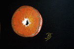 orangenscheibe.png