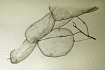 p1050039.png