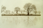p1050561b.png