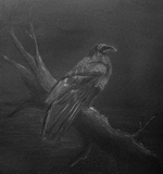 p1060200b.png