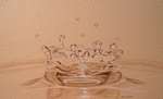 p1060953bpage.png
