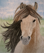 pferd-xb.png