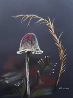 pilz-5pilz-5.png