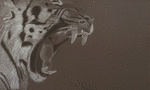 tigertiger.png