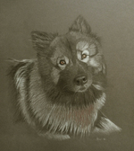 wolfspitzwolfspitz.png