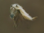 zeichnung-haflinger.jpg